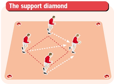 options for support diamond image